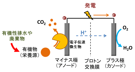 什么是微生物燃料電池？